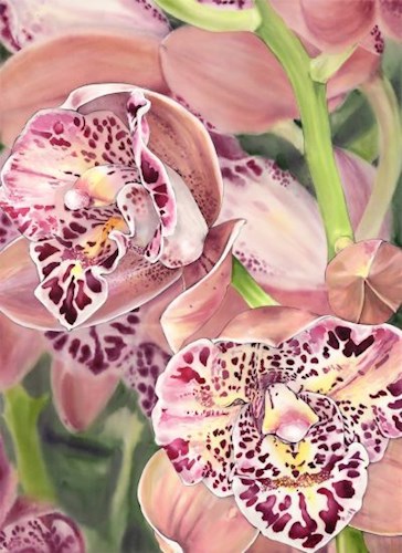 2.	Close-up of blooming orchids with pink and purple petals featuring speckled and striped markings in maroon and burgundy. Flowers are layered, with green stems and leaves in the background.